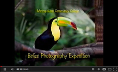 BelizePhotoExpedLink